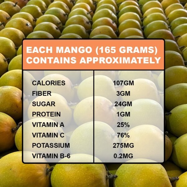Authentic Devgad Alphanso Mangoes - Image 3